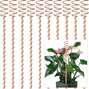 10Pack Electroculture Plant Stakes, 12" Electroculture Copper Gardening Antenna, Copper Coil Plant Stakes for Garden,Garden Copper Stakes for Plants Fruits Vegetables Growth,Eco-Friendly,High-Yield