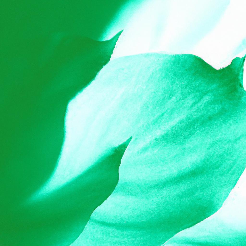 Clique Para Descobrir Plantas De Baixa Luz