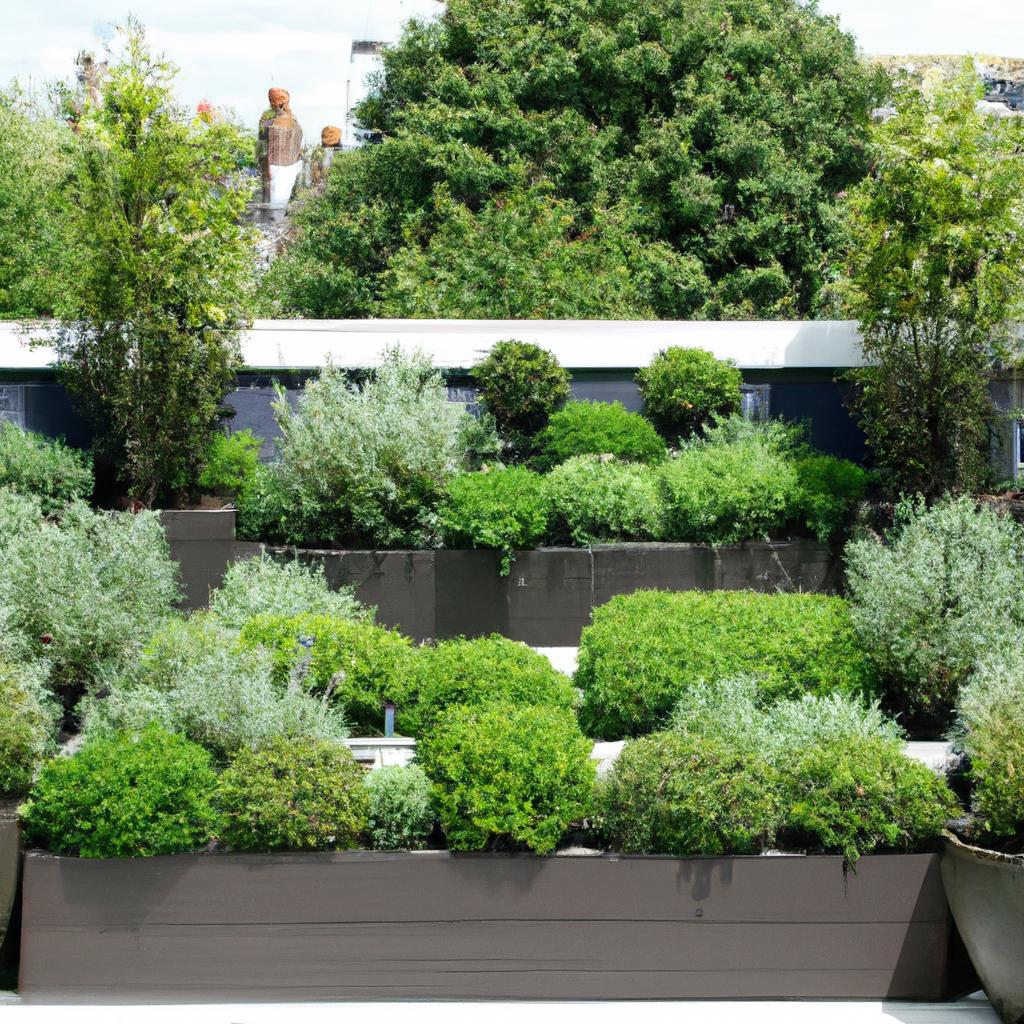 Plantas ideais para espaços pequenos