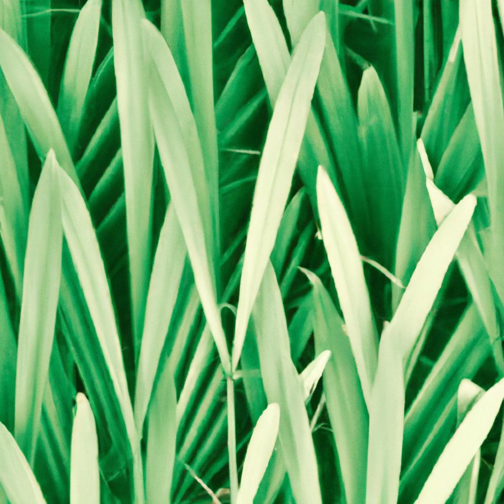 Descubra a magia das plantas com folhas metálicas