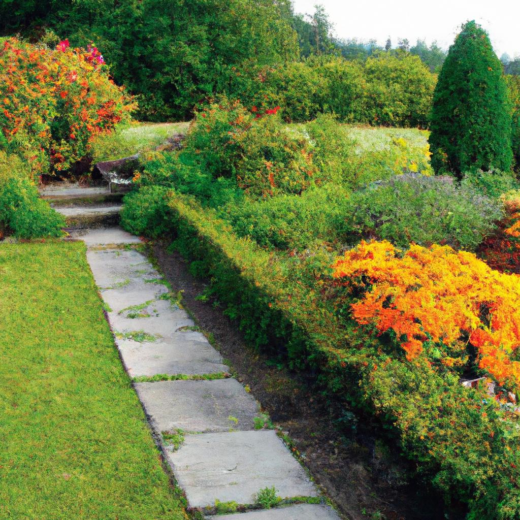 Melhores plantas para áreas com muito sol