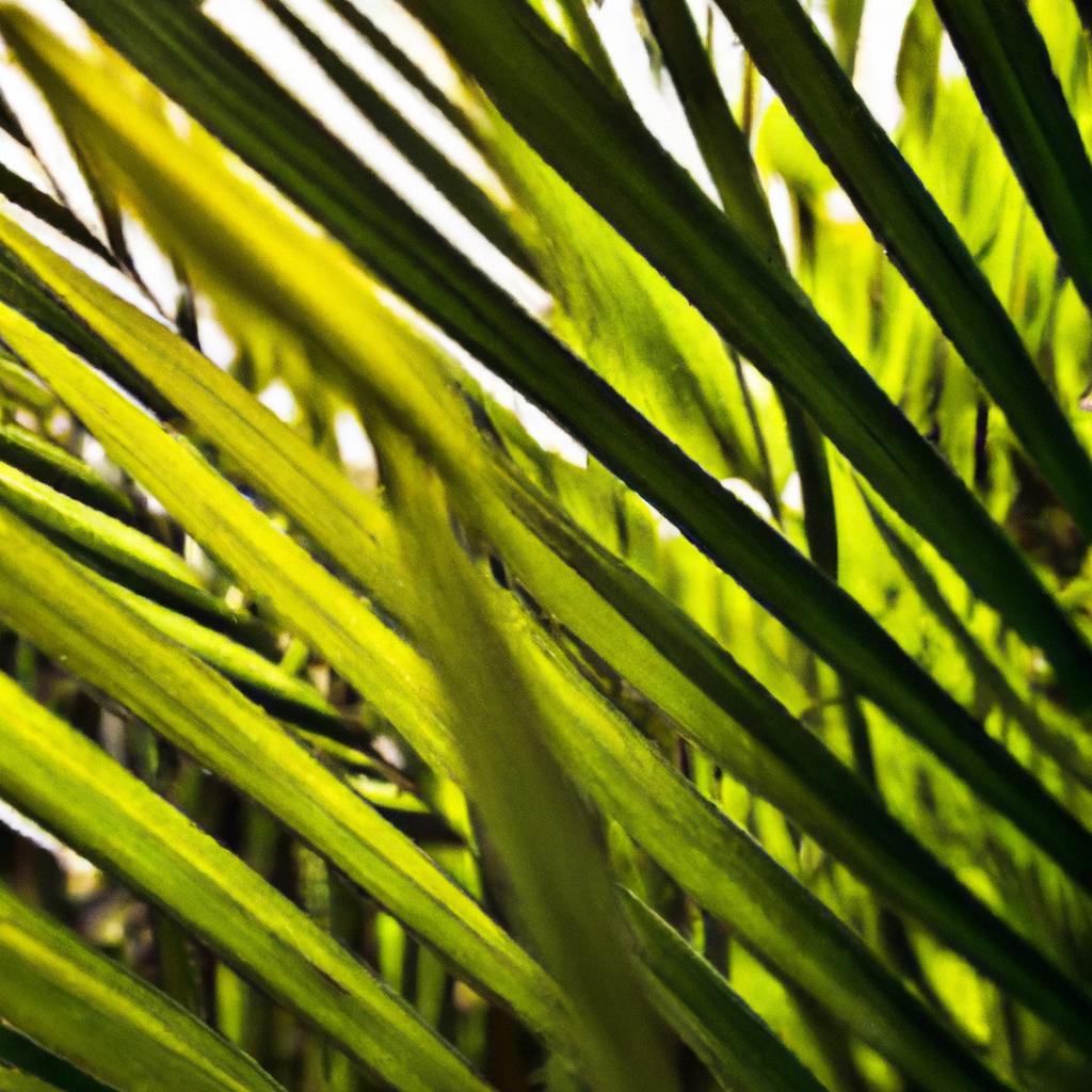 Plantas que resistem bem ao sol intenso